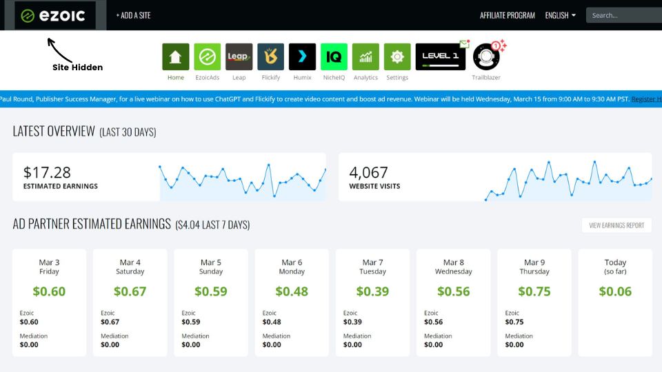 This is what the Ezoic monetization dashboard looks like. 