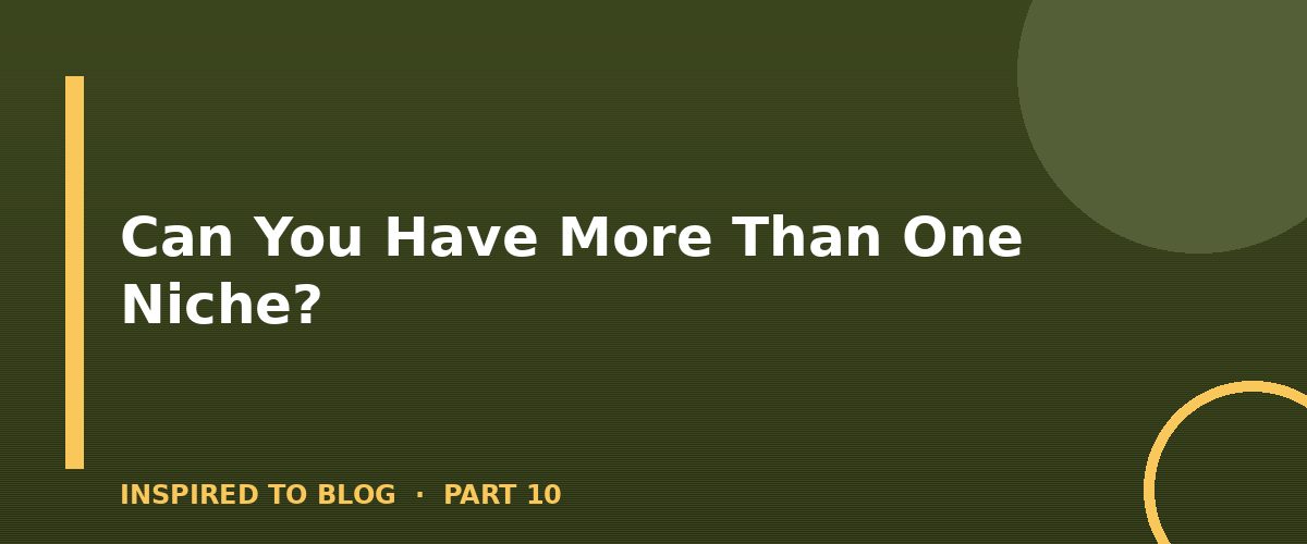 Section banner: Can You Have More Than One Niche?