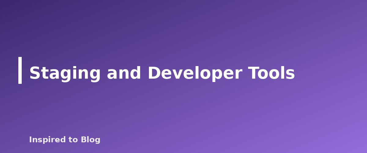 Staging and Developer Tools - illustration for WordPress Hosting for New Bloggers: What to Compare Before You Buy